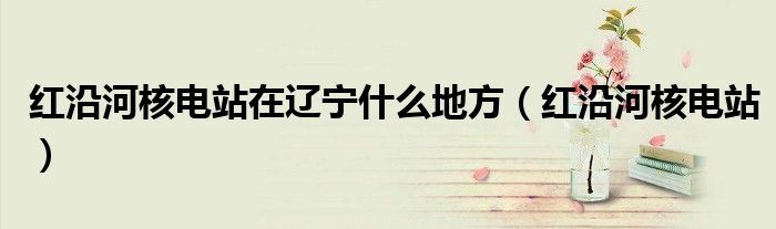 红沿河核电站在辽宁什么地方（红沿河核电站）