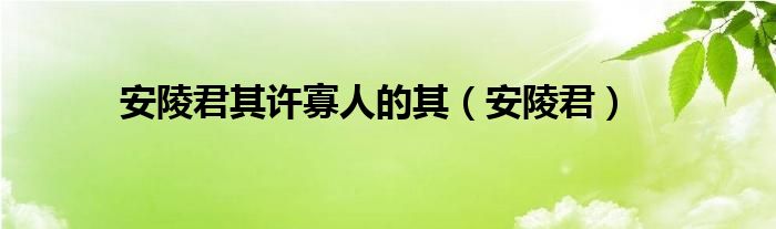 安陵君其许寡人的其（安陵君）