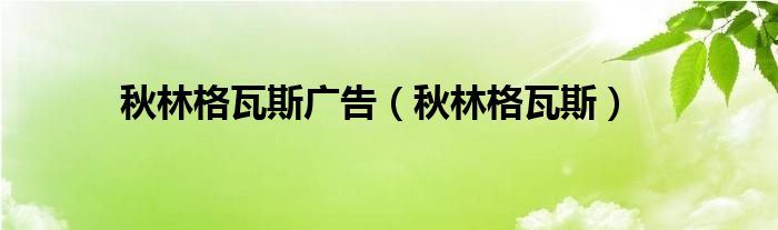 秋林格瓦斯广告（秋林格瓦斯）