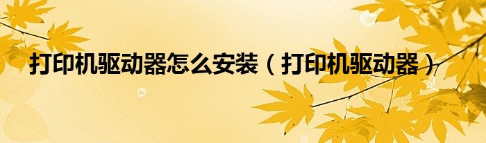 打印机驱动器怎么安装（打印机驱动器）