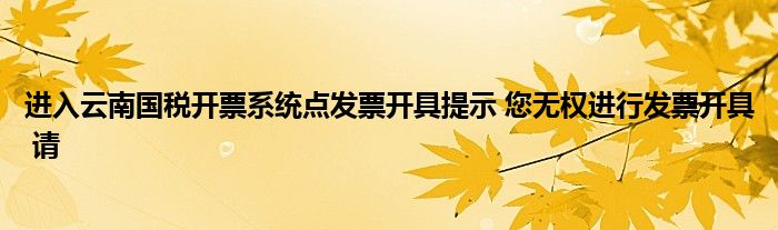进入云南国税开票系统点发票开具提示 您无权进行发票开具 请