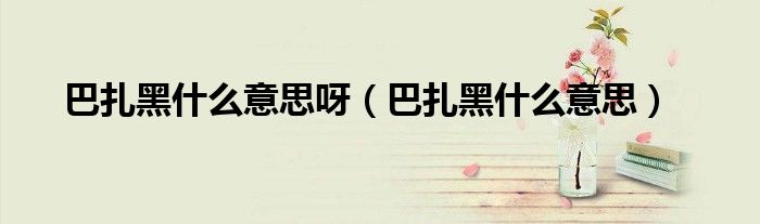 巴扎黑什么意思呀（巴扎黑什么意思）