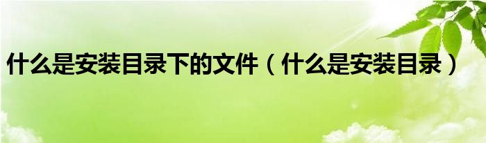 什么是安装目录下的文件（什么是安装目录）