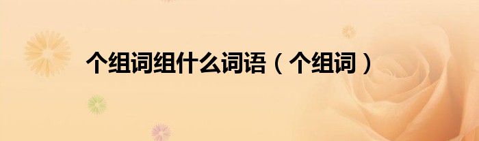 个组词组什么词语（个组词）