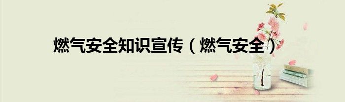 燃气安全知识宣传（燃气安全）