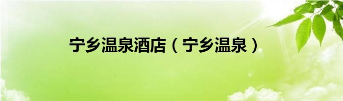 宁乡温泉酒店（宁乡温泉）