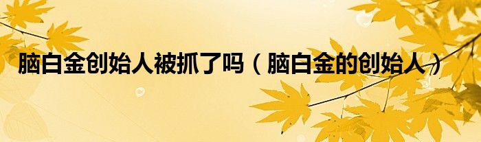 脑白金创始人被抓了吗（脑白金的创始人）