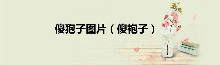 傻狍子图片（傻袍子）