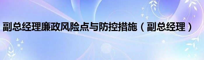 副总经理廉政风险点与防控措施（副总经理）