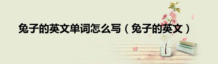 兔子的英文单词怎么写（兔子的英文）