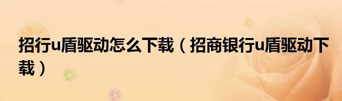 招行u盾驱动怎么下载（招商银行u盾驱动下载）