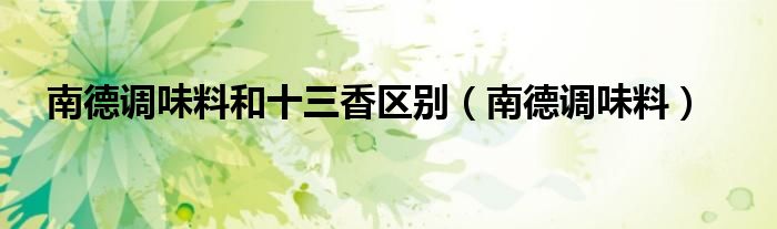 南德调味料和十三香区别（南德调味料）