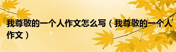 我尊敬的一个人作文怎么写（我尊敬的一个人作文）