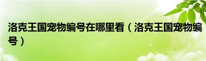 洛克王国宠物编号在哪里看（洛克王国宠物编号）
