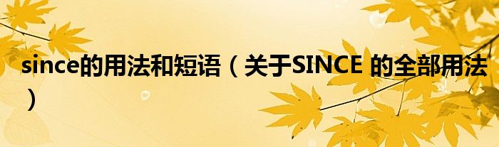 since的用法和短语（关于SINCE 的全部用法）