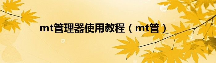 mt管理器使用教程（mt管）
