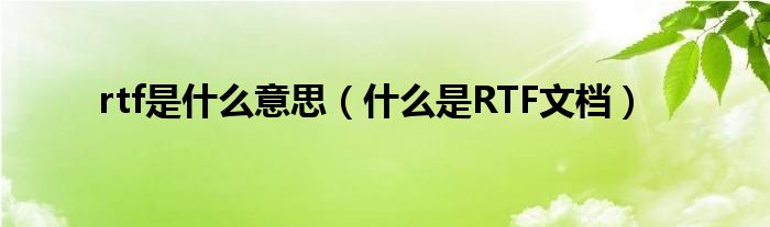 rtf是什么意思（什么是RTF文档）