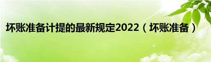 坏账准备计提的最新规定2022（坏账准备）