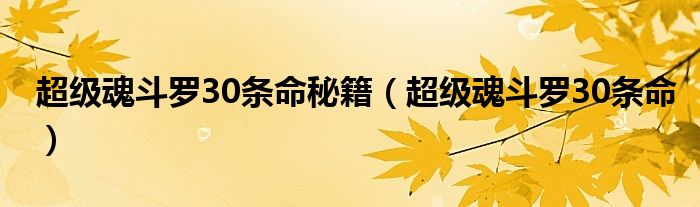 超级魂斗罗30条命秘籍（超级魂斗罗30条命）