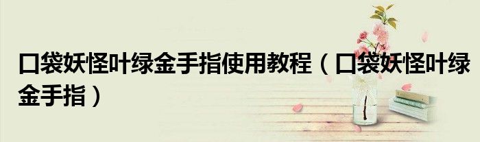 口袋妖怪叶绿金手指使用教程（口袋妖怪叶绿金手指）