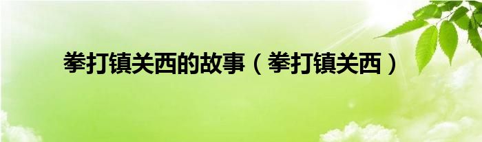 拳打镇关西的故事（拳打镇关西）