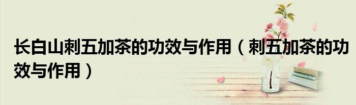 长白山刺五加茶的功效与作用（刺五加茶的功效与作用）