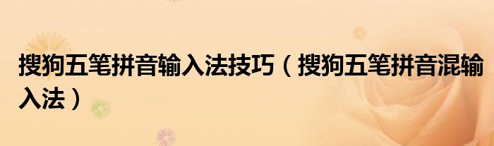 搜狗五笔拼音输入法技巧（搜狗五笔拼音混输入法）