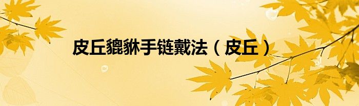 皮丘貔貅手链戴法（皮丘）