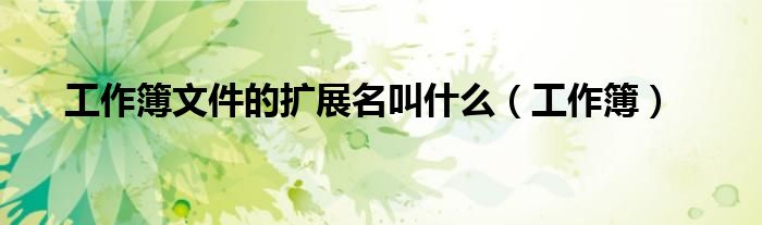 工作簿文件的扩展名叫什么（工作簿）
