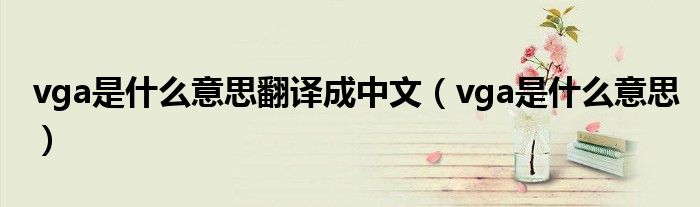 vga是什么意思翻译成中文（vga是什么意思）