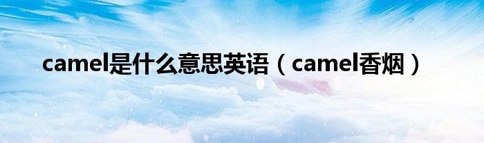 camel是什么意思英语（camel香烟）