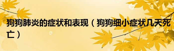 狗狗肺炎的症状和表现（狗狗细小症状几天死亡）
