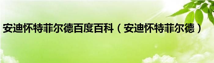 安迪怀特菲尔德百度百科（安迪怀特菲尔德）