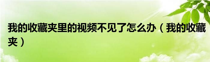 我的收藏夹里的视频不见了怎么办（我的收藏夹）