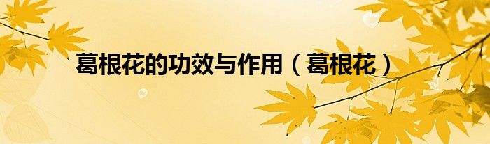 葛根花的功效与作用（葛根花）