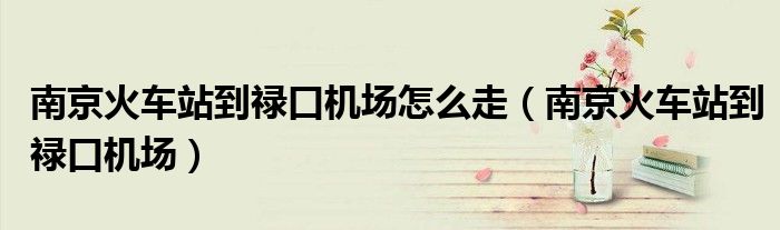 南京火车站到禄口机场怎么走（南京火车站到禄口机场）