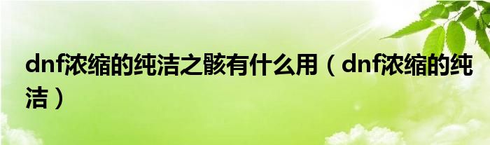 dnf浓缩的纯洁之骸有什么用（dnf浓缩的纯洁）