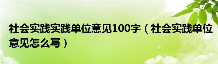 社会实践实践单位意见100字（社会实践单位意见怎么写）