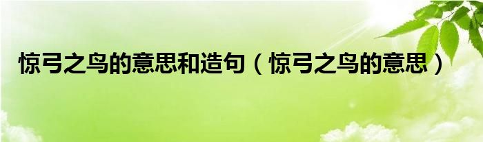 惊弓之鸟的意思和造句（惊弓之鸟的意思）