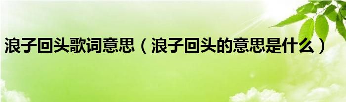 浪子回头歌词意思（浪子回头的意思是什么）