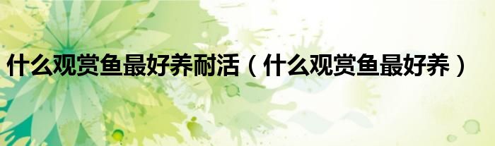 什么观赏鱼最好养耐活（什么观赏鱼最好养）