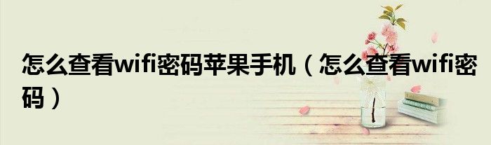怎么查看wifi密码苹果手机（怎么查看wifi密码）