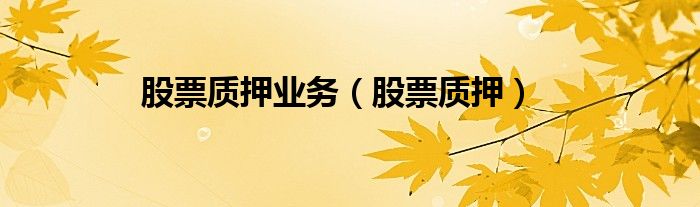 股票质押业务（股票质押）