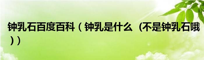 钟乳石百度百科（钟乳是什么  (不是钟乳石哦 )）