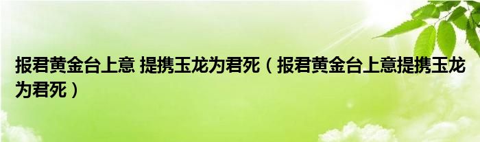 报君黄金台上意 提携玉龙为君死（报君黄金台上意提携玉龙为君死）