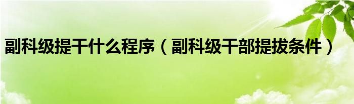 副科级提干什么程序（副科级干部提拔条件）