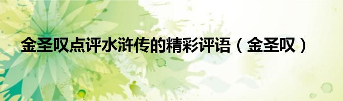 金圣叹点评水浒传的精彩评语（金圣叹）