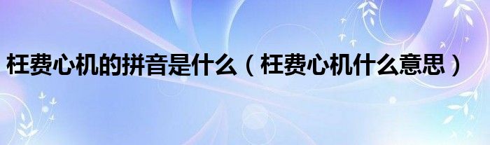 枉费心机的拼音是什么（枉费心机什么意思）