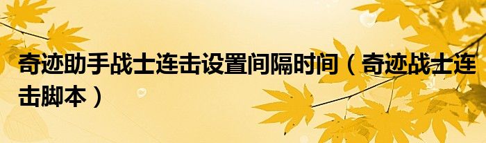 奇迹助手战士连击设置间隔时间（奇迹战士连击脚本）