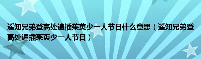 遥知兄弟登高处遍插茱萸少一人节日什么意思（遥知兄弟登高处遍插茱萸少一人节日）